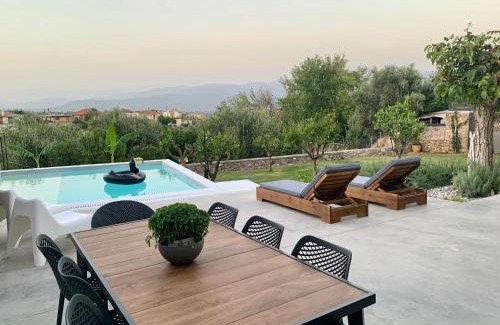 Eva Villa | The Backyard