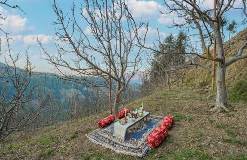 Theog Cabin | The Bagh Kufri