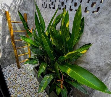 Khong Koi Beach House | The Beach Cafe