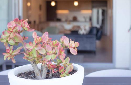 Kingscliff House | The Beach Oasis ~ Dune