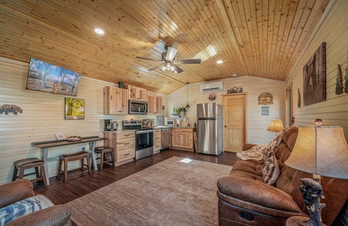 Fort Payne Cabin | The Bear Necessities Cabin | On Brow | Hot Tub | WiFi | Fire Pit | Dog Friendly