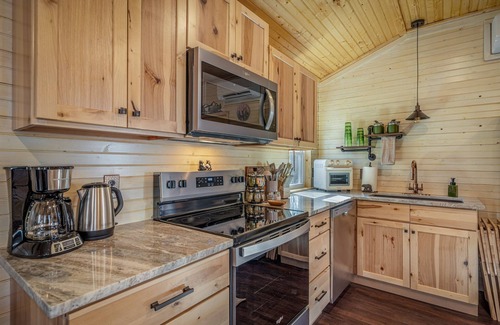 Fort Payne Cabin | The Bear Necessities Cabin | On Brow | Hot Tub | WiFi | Fire Pit | Dog Friendly