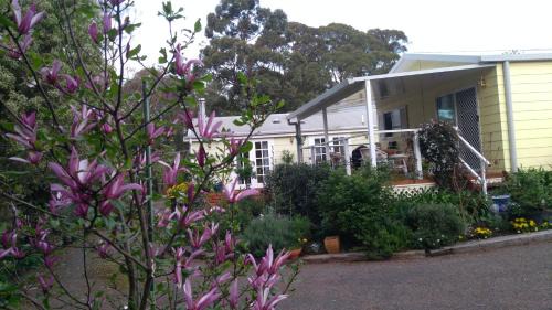 Bundanoon House | The Best Exotic Magnolia Cottage