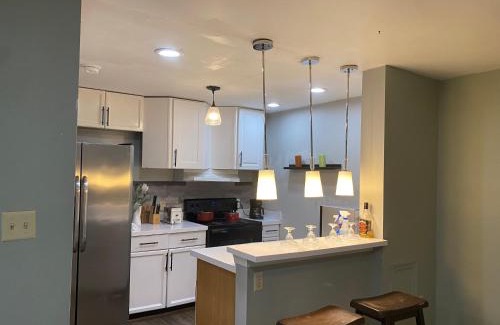 Frederick Apartment | The Big Beautiful Townhouse