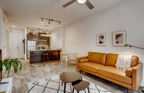 North Burnet Apartment | The Bindel: Domain, Pet Friendly, 30+ nights, Highly Walkable!