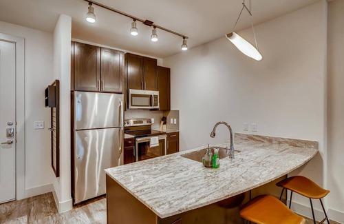 North Burnet Apartment | The Bindel: Domain, Pet Friendly, 30+ nights, Highly Walkable!