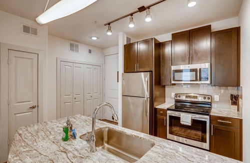 North Burnet Apartment | The Bindel: Domain, Pet Friendly, 30+ nights, Highly Walkable!