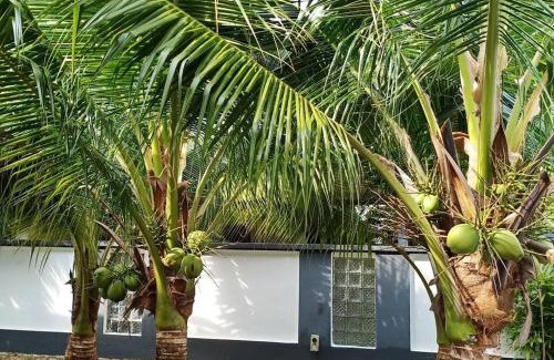 Kampung Dhobi Villa | The Bird's Nest Holiday Villa Port Dickson