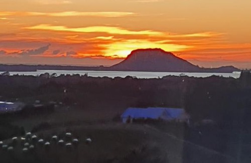 Whakamarama Bed & Breakfast | The Black Badger Luxury Bed & Breakfast