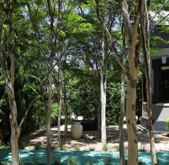 Robertson House | The Black House