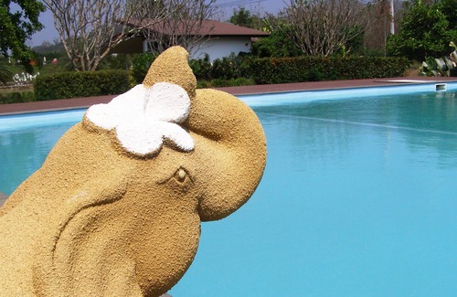 Phaya Yen Hotel | The Bloom By TV Pool