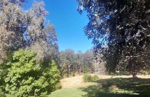 Nimbin Apartment | The Blue House
