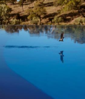 Santa Margarida da Serra House | The Blue House Valley