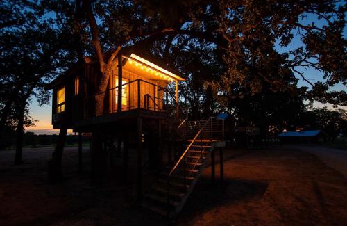 Elm Mott Other | The Blue Jay Treehouse 15MIN to Magnolia Baylor