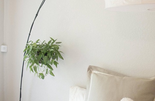 Beach Hill - Beach Flats Bed & Breakfast | The Boardwalk Beach House