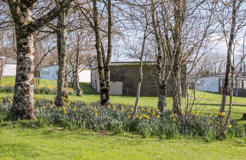 Dartmouth Cottage | The Borrowers