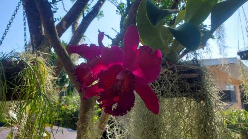 Marathon House | The Butterfly Cottage