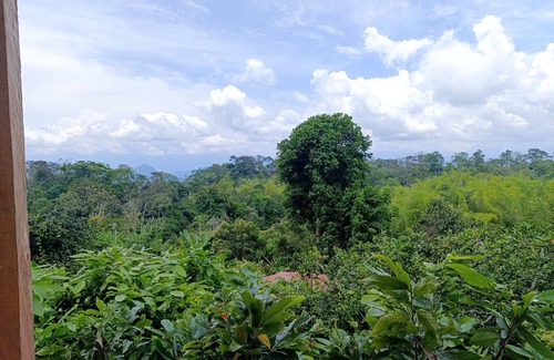 Tamesis Apartment | The cabin - Finca los Martínez, near the town of Támesis Antioquia,