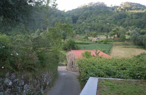 Bico House | The Cabrão River House Is A Magical Place
