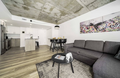 Saint-Roch Apartment | The Caiman's Nest | Parking | Pool | BBQ | WIFI