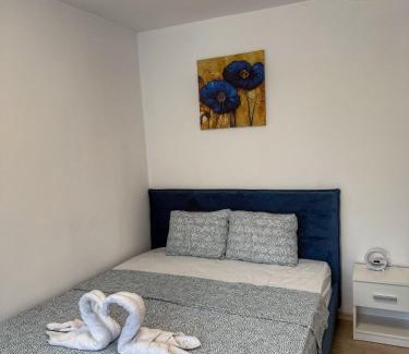 Craiova Apartment | The Central Apartment Self Check-in Old Town