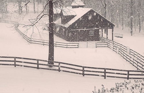 Darlington House | The Chalet is located in the woods of a gated property with a covered porch.