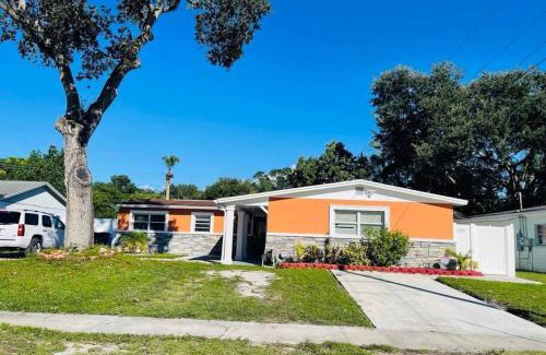 Town N County Park Apartment | The Citrus Guesthouse in Tampa