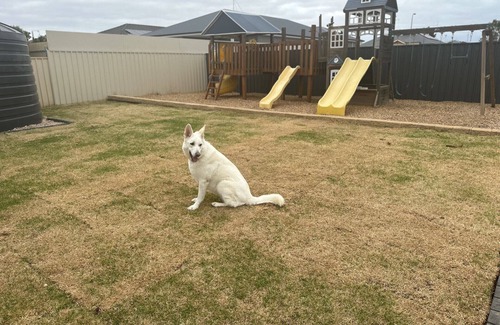 Moonta Bay House | The Coastal Crab, Moonta Bay. Family & Pet friendly holiday accommodation
