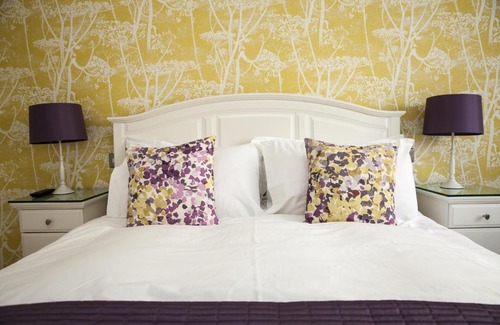 Aberdeen Bed & Breakfast | The Cock and Bull