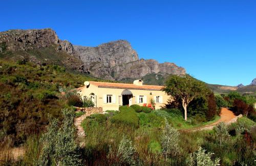 Cape Winelands Villa | The Cottage @ Montpellier