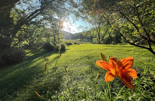 Irvine Cabin | The Cozy Cabin – A Historic Chestnut Log Haven in the Holler