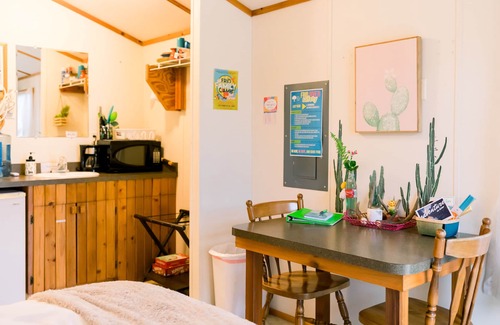 Concan Cabin | The Cozy Cactus: 1 Room Studio Tiny Home 2.6miles from the Frio River