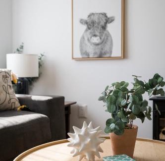 Prince Edward House | The Darcie House - cozy, pet-friendly home in PEC