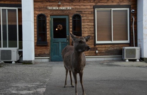 Nara House | The Deer Park Inn