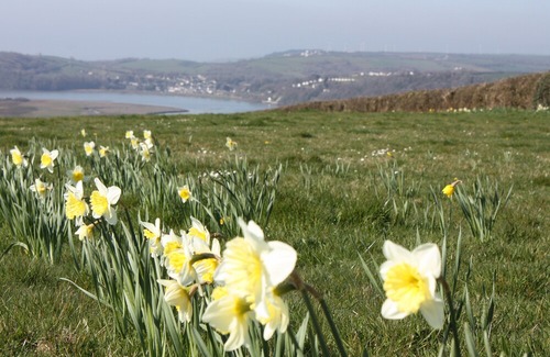 Llanybri Cottage | The Den, LLANSTEFFAN