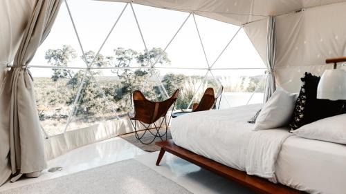 Fischer House | The Disco Domes