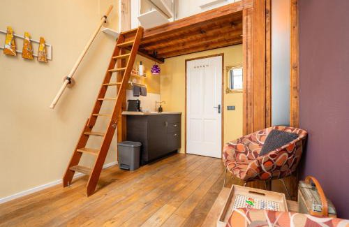 Zwolle City Centre Apartment | The Disco Duck A - city centre Zwolle