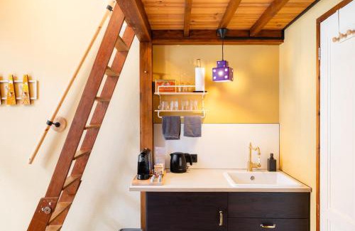 Zwolle City Centre Apartment | The Disco Duck A - city centre Zwolle