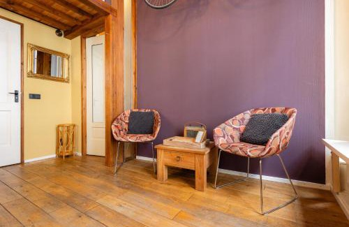 Zwolle City Centre Apartment | The Disco Duck A - city centre Zwolle