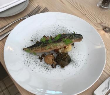 Wingham Hotel | The Dog At Wingham