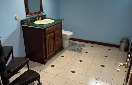 Vienna Other | The Donkey Farm Vienna,Ohio 44473