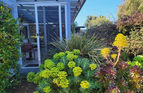 Scamander Apartment | The Dunes - King Studio - 50m from Scamander Beach