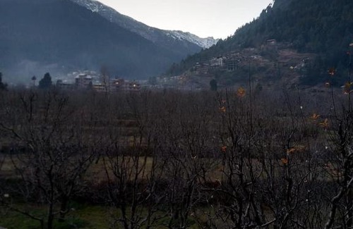 Manali Hostel | The Eagle Eye Retreat