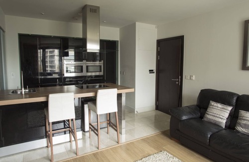 Sandyford Apartment | The Edges
