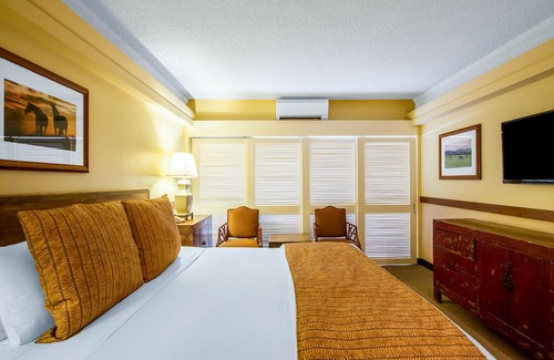 Waikiki Hotel | The Equus