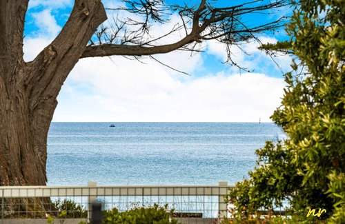 Indented Head Villa | The Esplanade- Beach front, Luxury, Sleeps 8, Luxury, Parking, Aircon