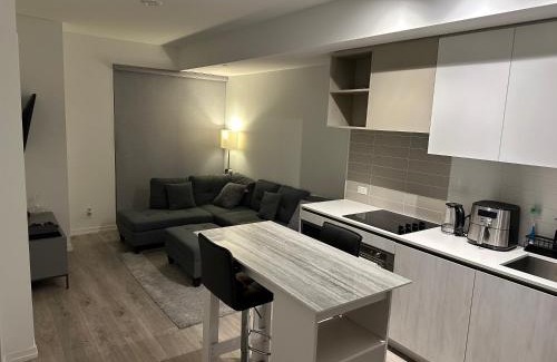 Vaughan Apartment | The Evergreen Shelter