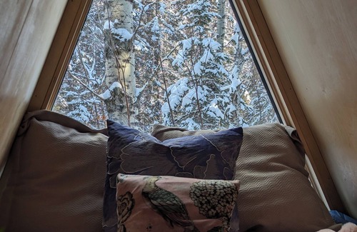 Division No. 11 Cabin | The Fern A-frame Cabin