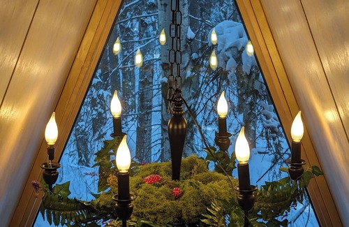 Division No. 11 Cabin | The Fern A-frame Cabin