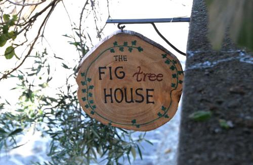 Samothrace House | The fig tree house